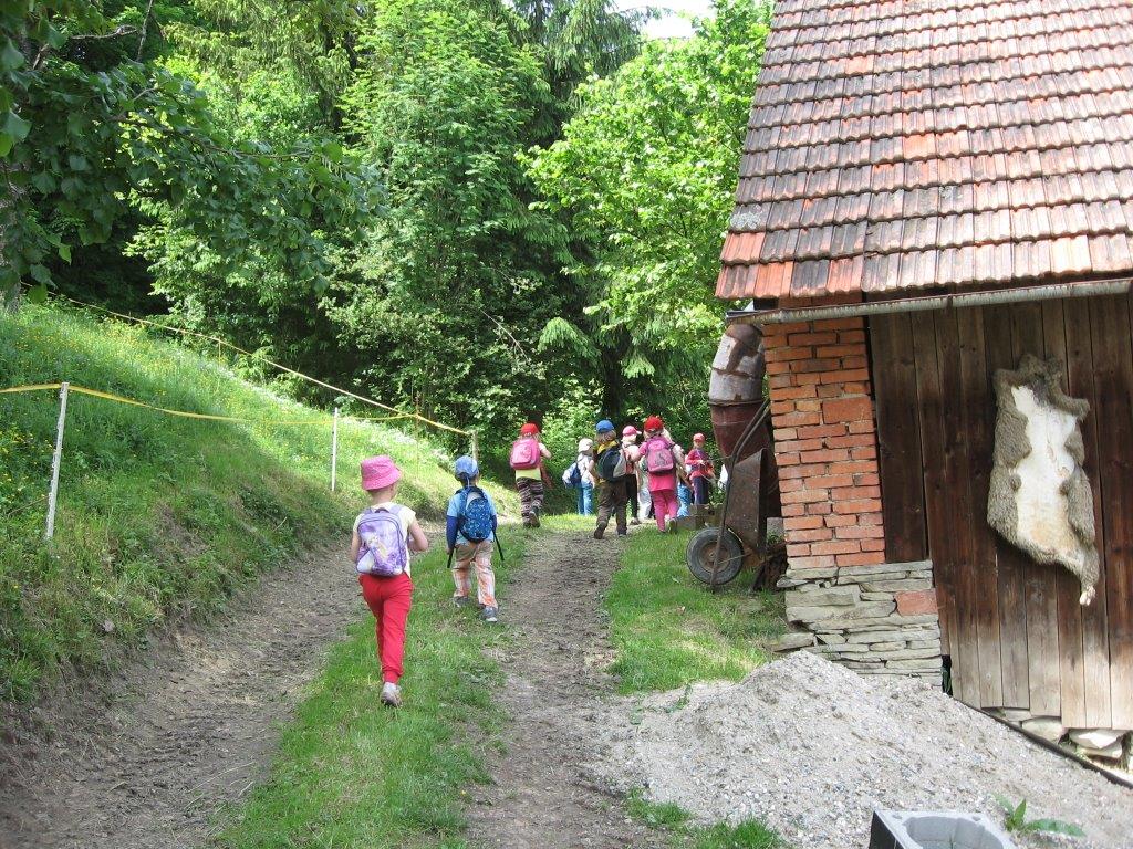 IMG_5465