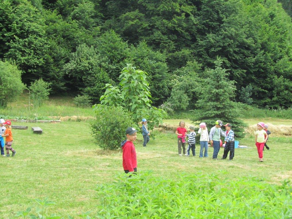 IMG_2745
