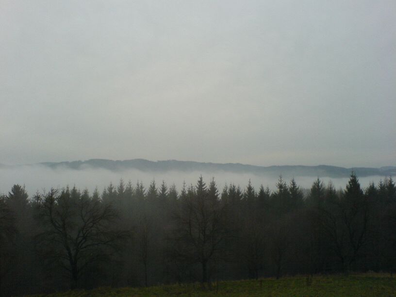 DSC00563