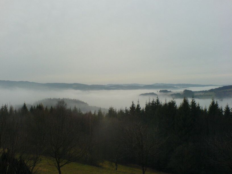 DSC00567