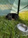 IMG-20250628-WA0011